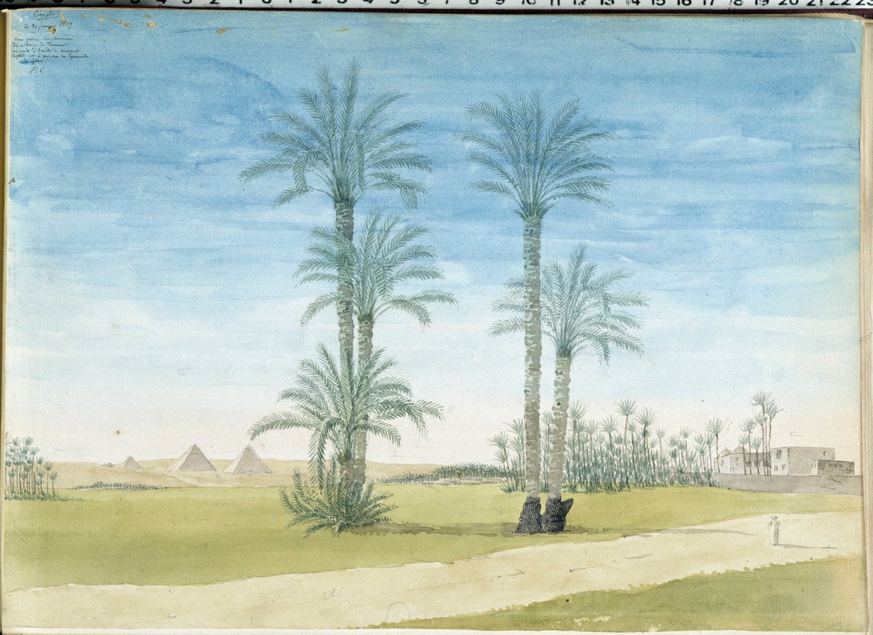 Egipt: „” Piramidy w Gyze (Guizeh, Guiseh, Giza) Rysunek Pascala Coste (1787-1879) Muzeum Archeologii Śródziemnomorskiej, Marsylia autorstwa Pascal Xavier (after) Coste