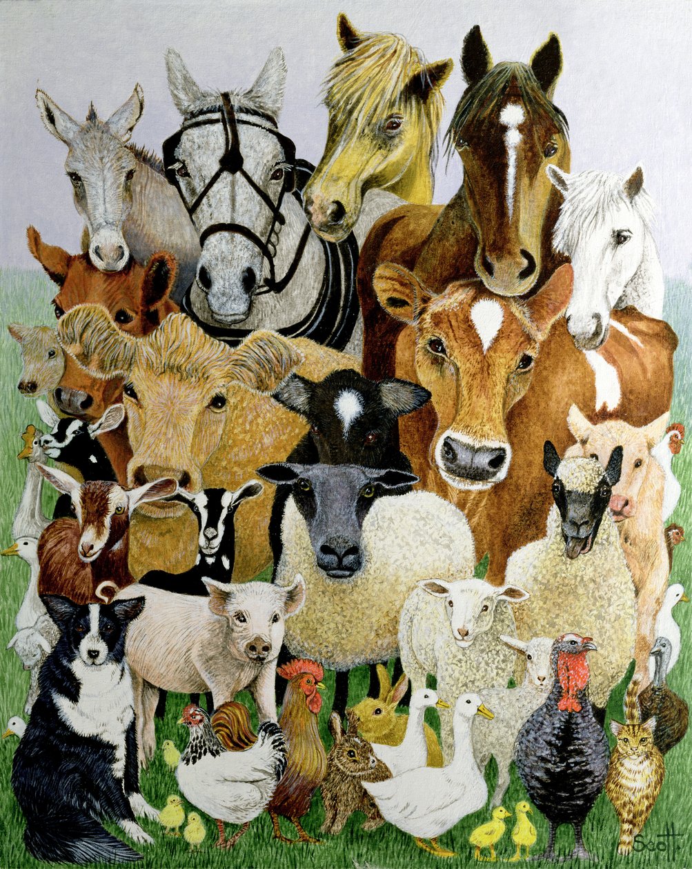 Animal Allsorts (akryl na perkalu) autorstwa Pat Scott
