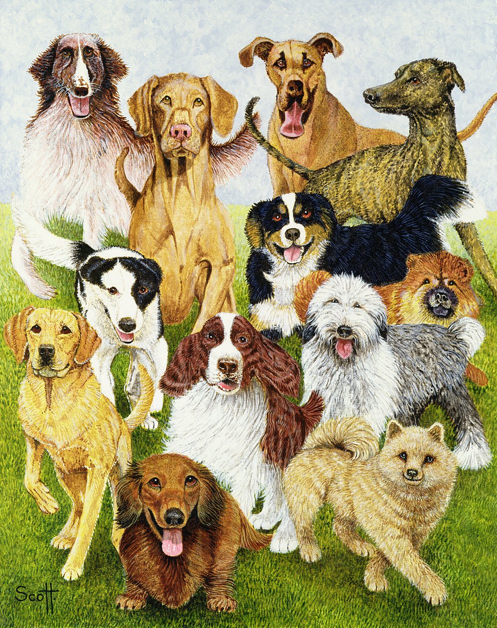 Dog Days (olej na płótnie) autorstwa Pat Scott