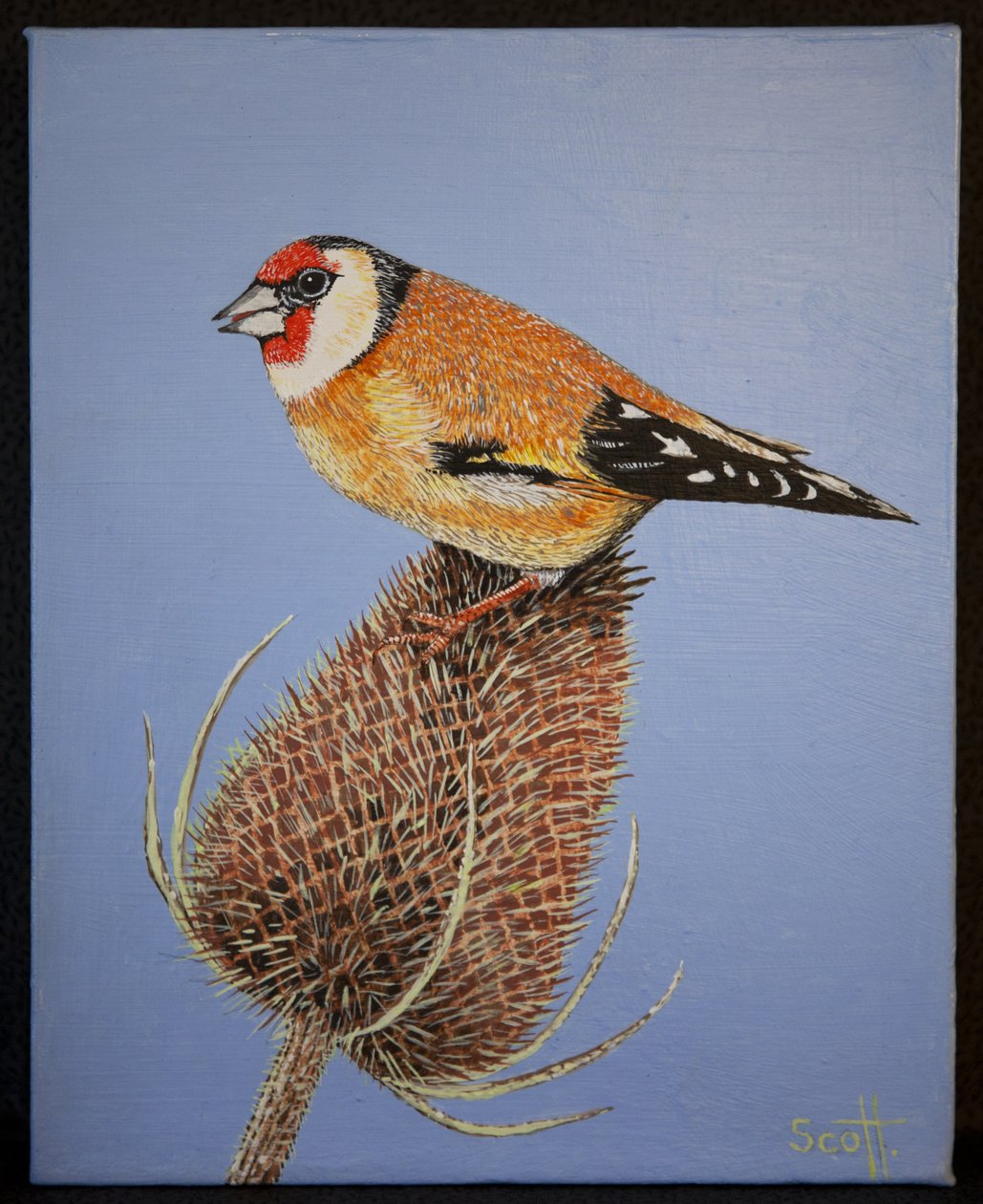 Goldfinch, 2016 autorstwa Pat Scott