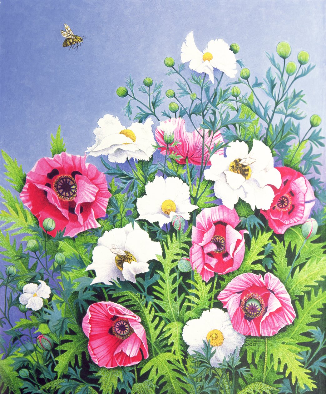 Honey Bee, Honey Bee (olej na płótnie) autorstwa Pat Scott