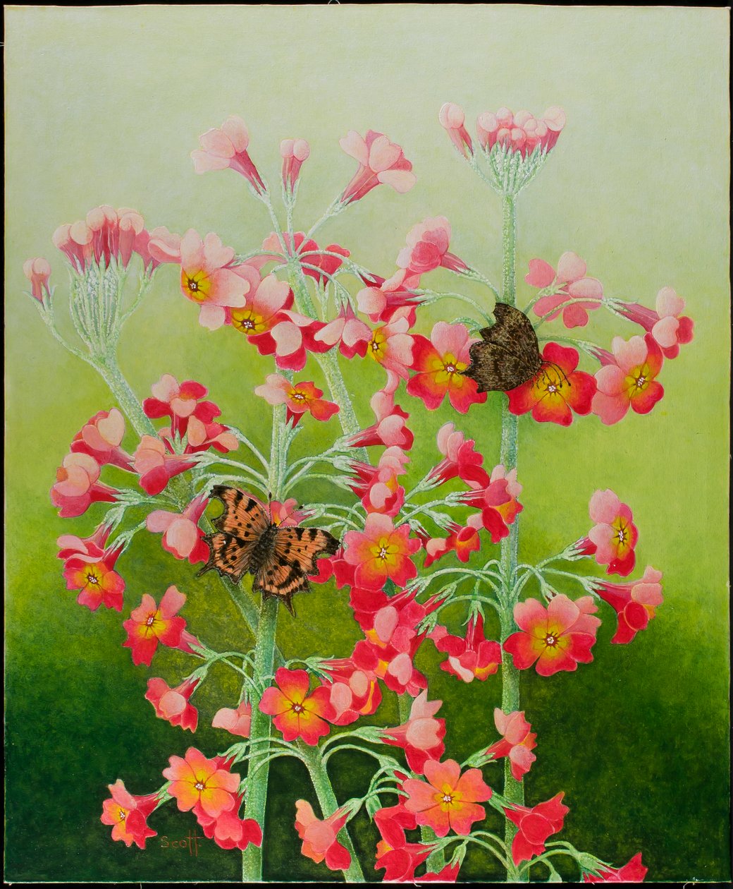 In the Pink, 2011 (akryl na perkalu) autorstwa Pat Scott