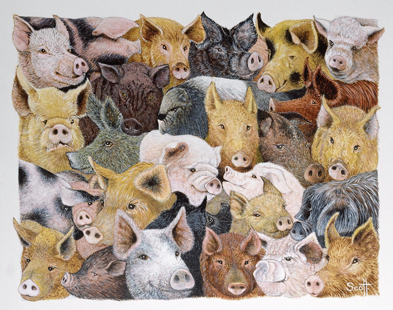 Pigs Galore (akryl na perkalu) autorstwa Pat Scott