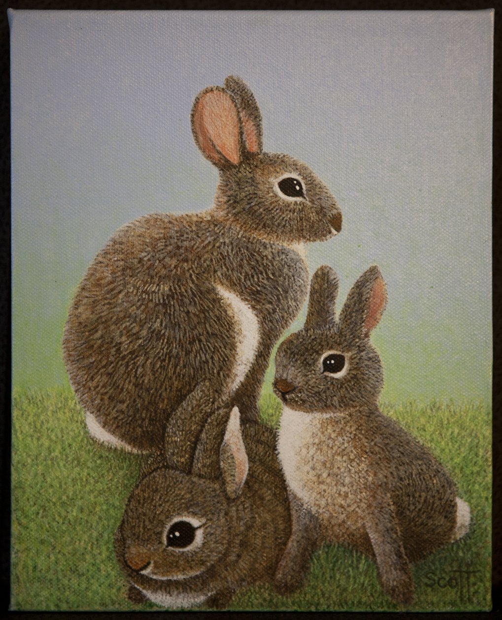 Rabbit Family, 2016 r. autorstwa Pat Scott