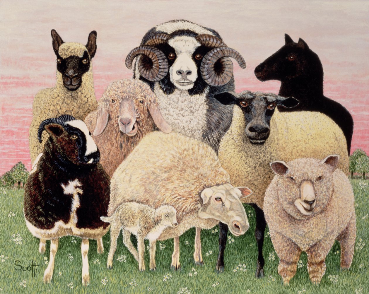 Shepherds Delight autorstwa Pat Scott