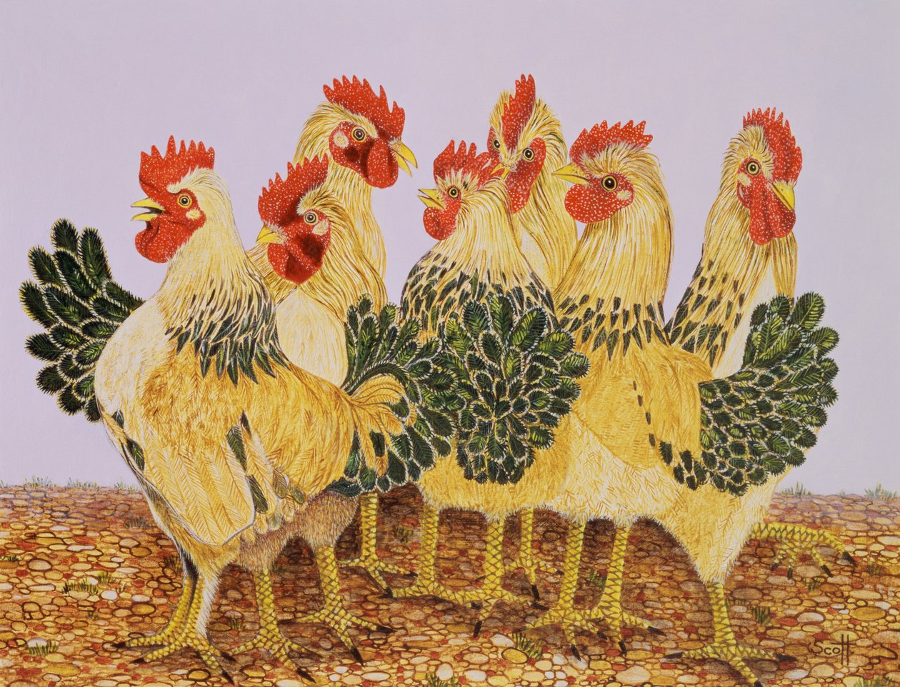 Strutters Ballet autorstwa Pat Scott