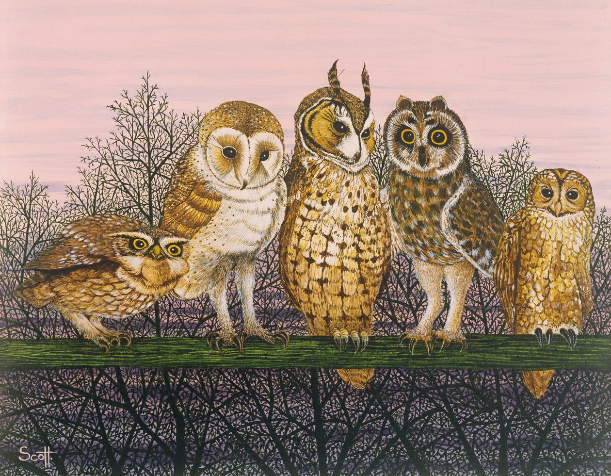 Tu-whit Tu-whooing autorstwa Pat Scott