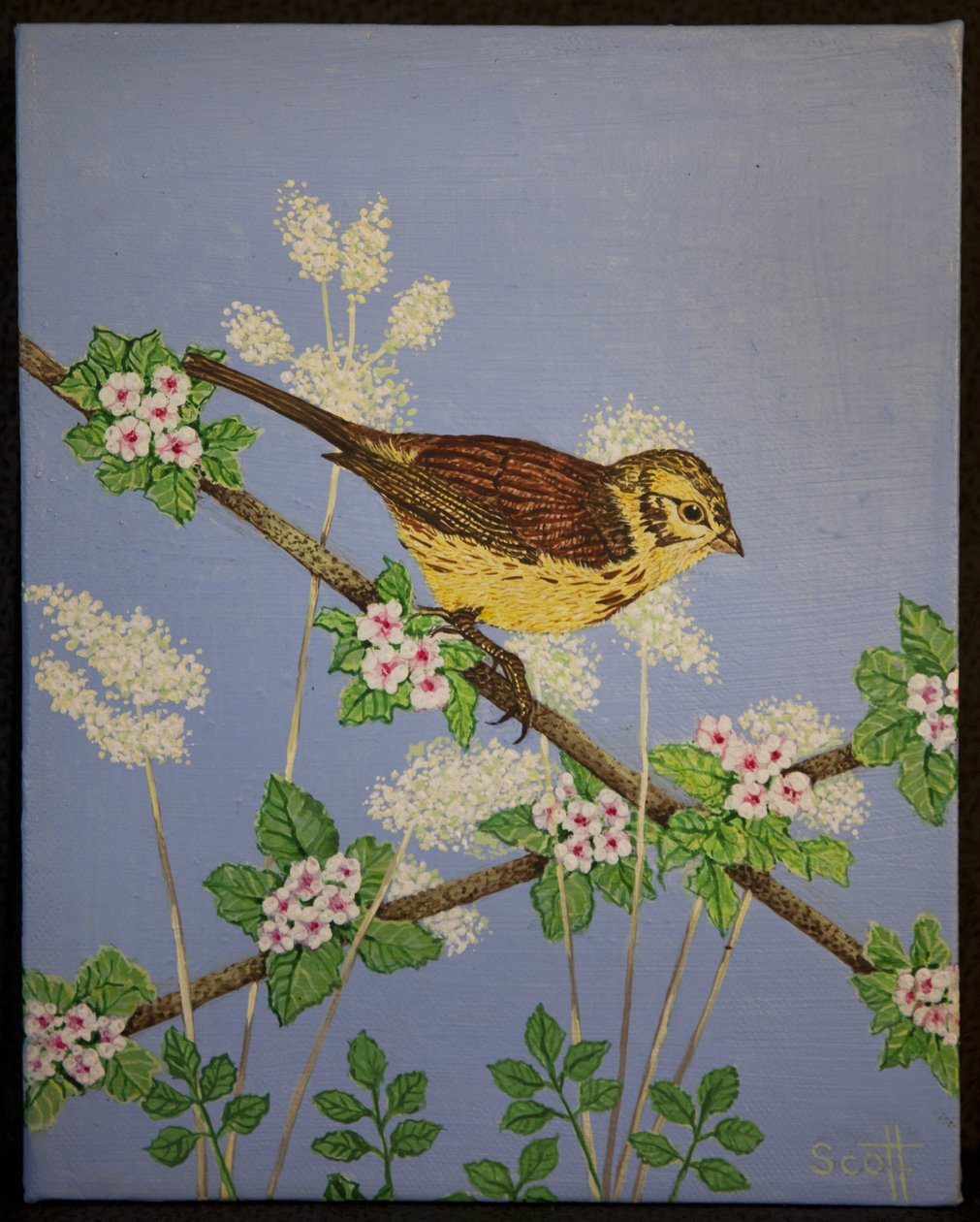 Yellow Hammer, 2016 autorstwa Pat Scott