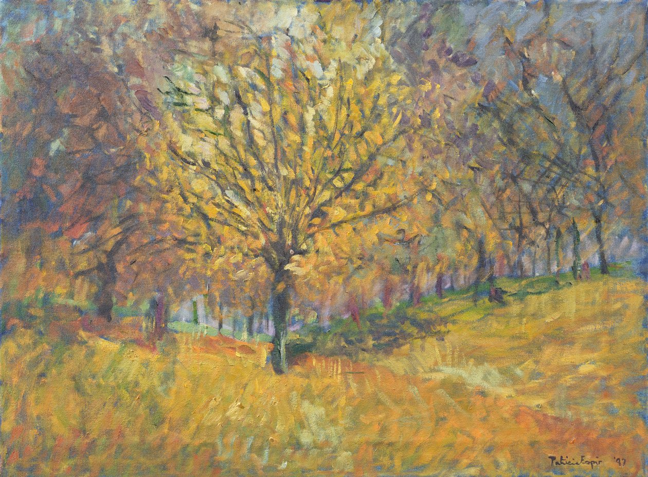 Listopad w Hyde Parku, 1997 autorstwa Patricia Espir