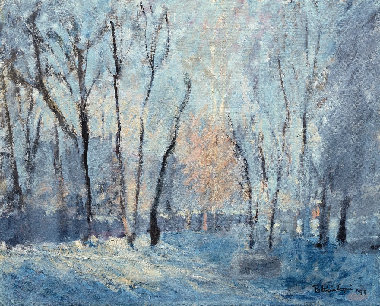 Śnieg w ogrodzie, 1993 autorstwa Patricia Espir