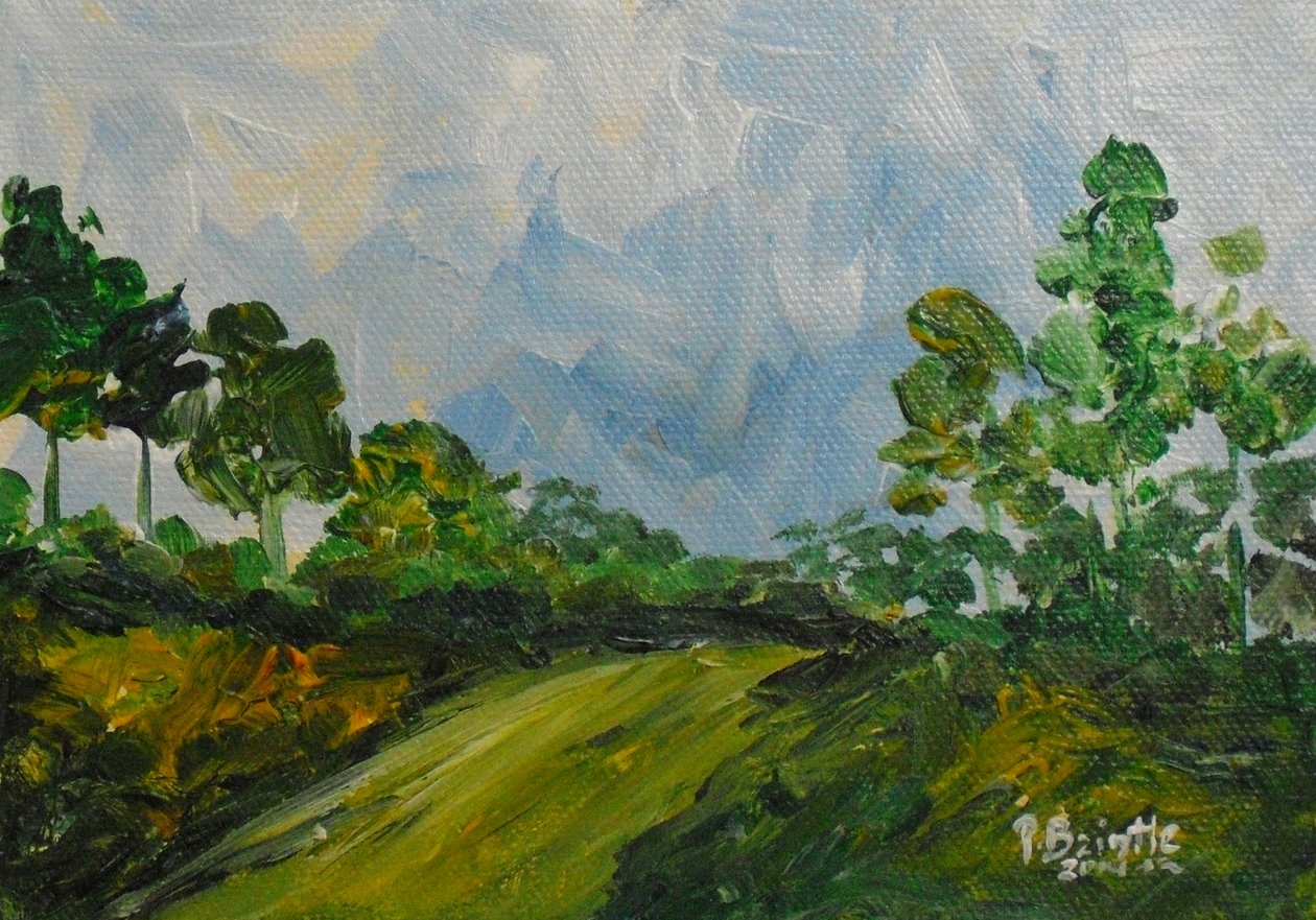 W dół wzgórza, 2014 (akryl na płótnie) autorstwa Patricia Brintle
