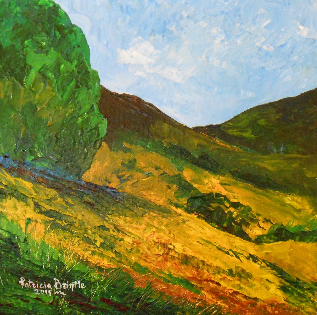 Morne La Selle, 2015 (akryl na płótnie) autorstwa Patricia Brintle
