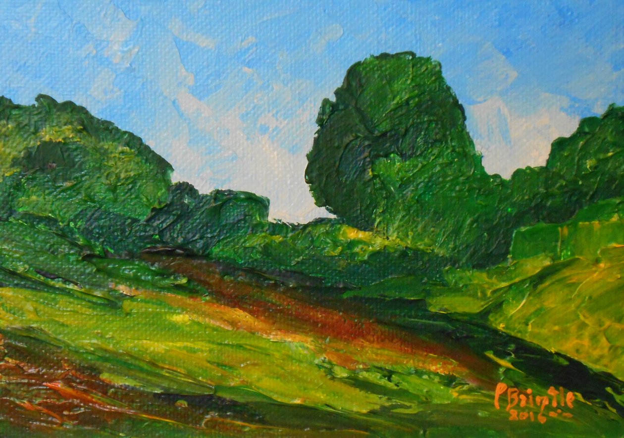 Plaisance surround, 2016 (akryl na płycie artystycznej) autorstwa Patricia Brintle