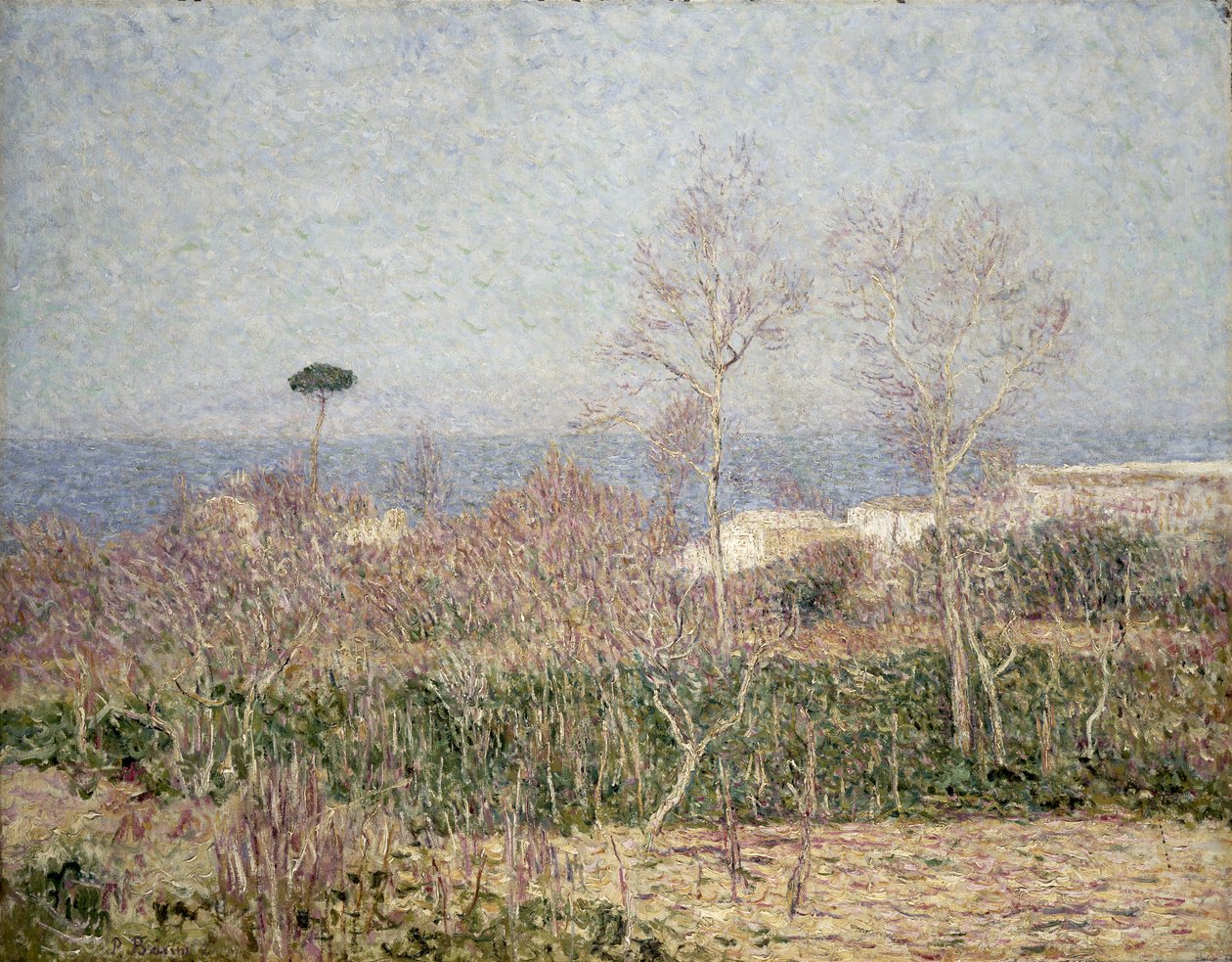 Nadmorski krajobraz na Capri, 1899 autorstwa Paul Baum