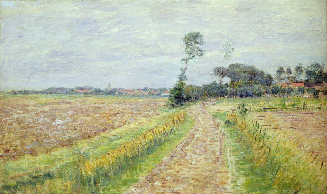Holandia, Krajobraz z zebranymi polami, 1890 autorstwa Paul Baum