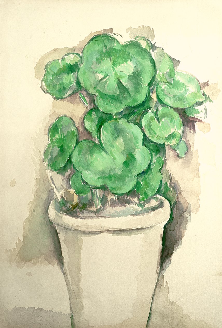Garnek pelargonii, ok. 1885 (ołówek i wc na papierze) autorstwa Paul Cézanne