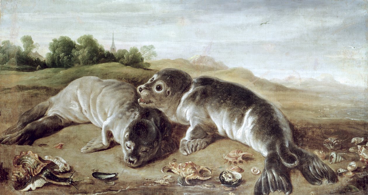 Dwie młode pieczęcie na brzegu, ok. 1650 autorstwa Paul De Vos