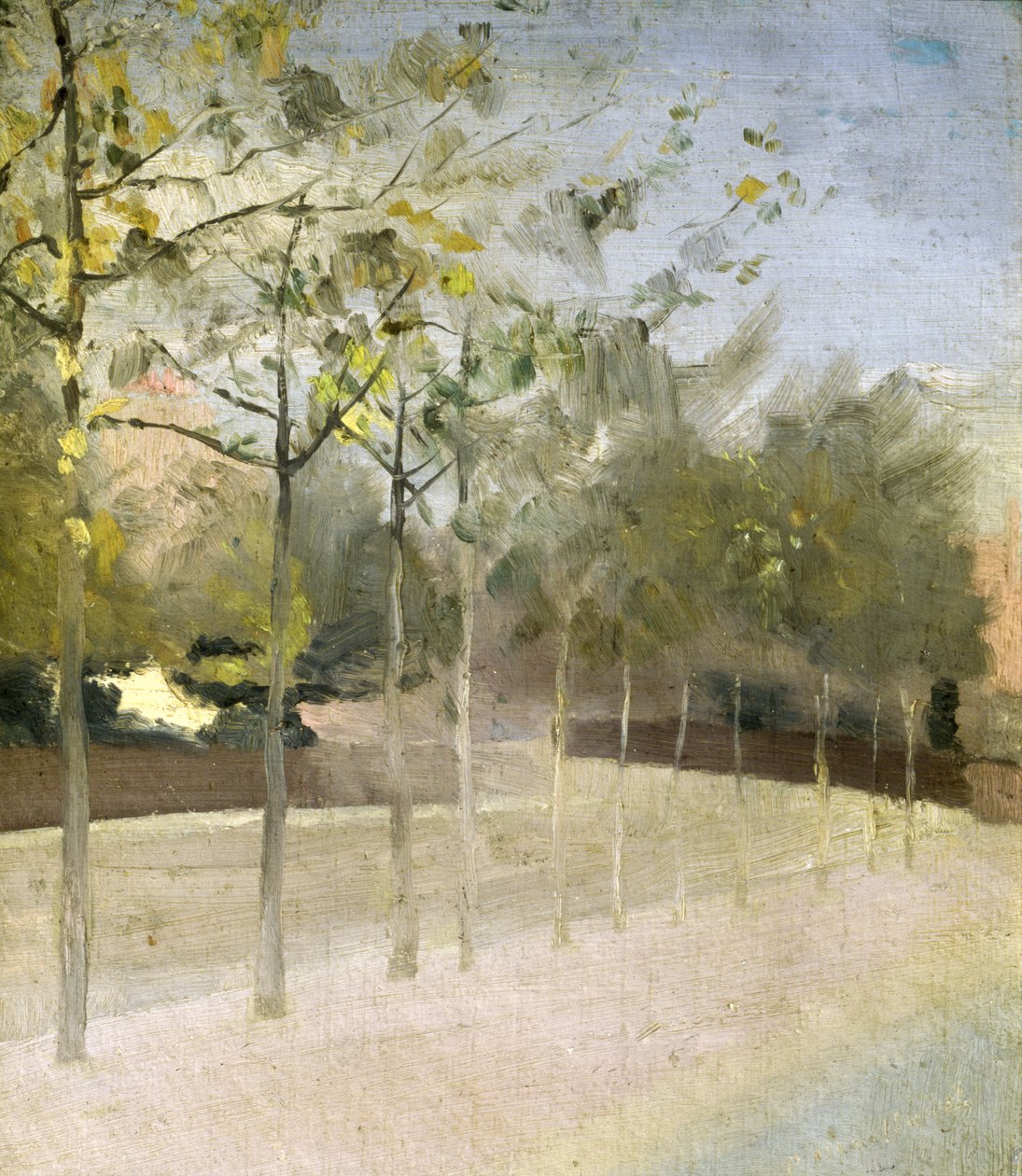 Chelsea Embankment, drzewa platanowe, 1908 autorstwa Paul Fordyce Maitland