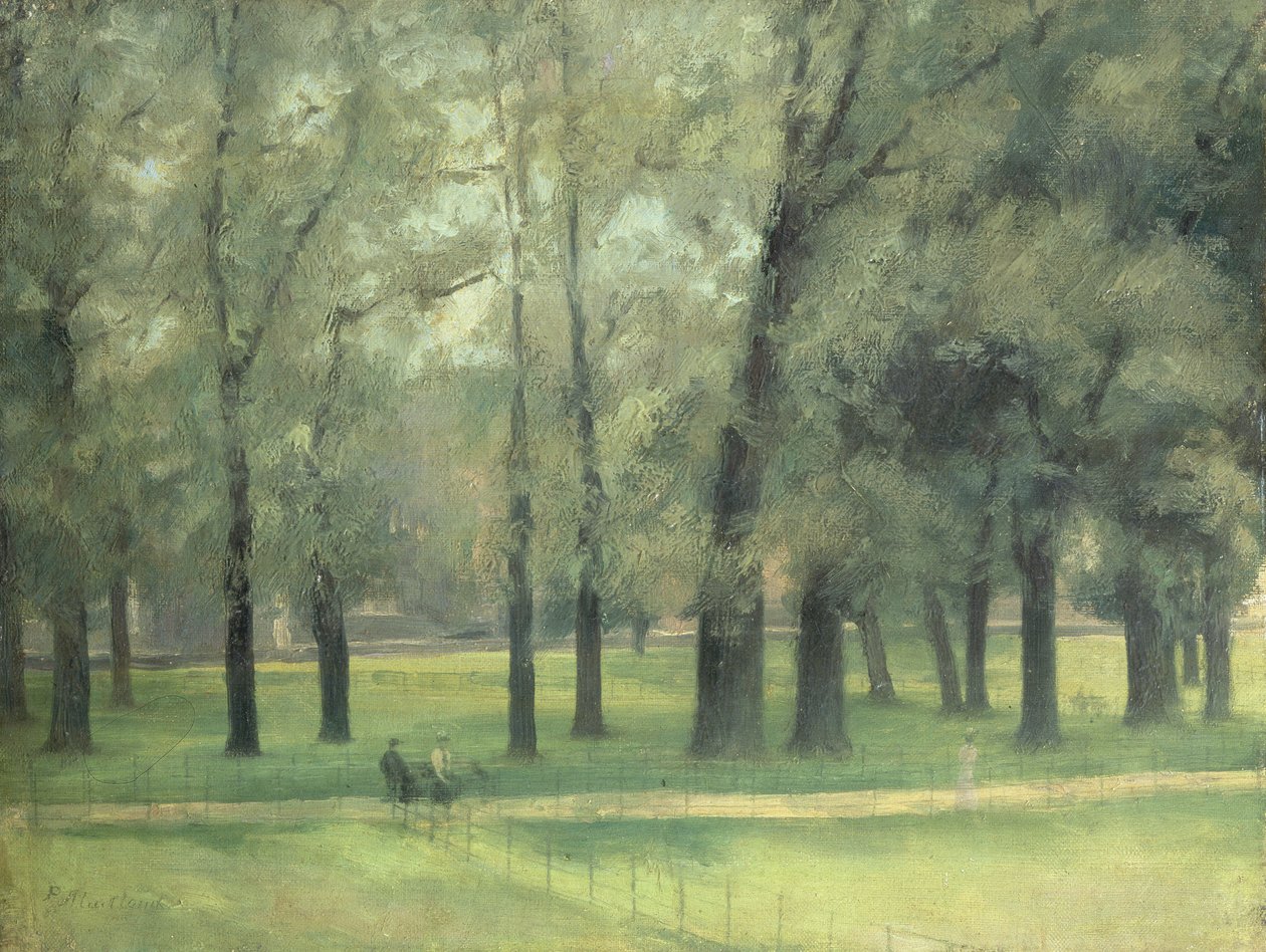Wiązów w pobliżu Long Walk autorstwa Paul Fordyce Maitland