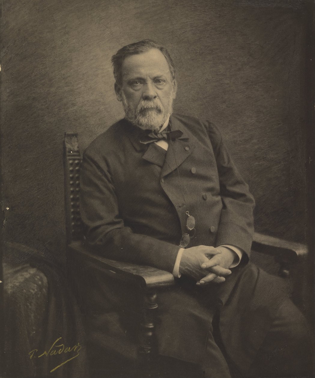 (Ludwik Pasteur) autorstwa Paul Nadar