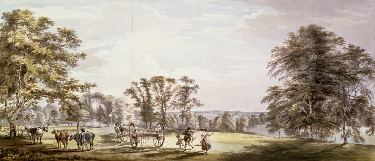 Scena w Earl of Bute