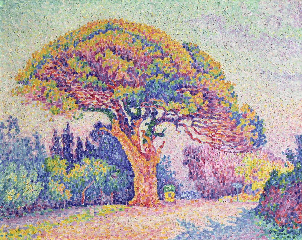 Sosna w St. Tropez, 1909 autorstwa Paul Signac