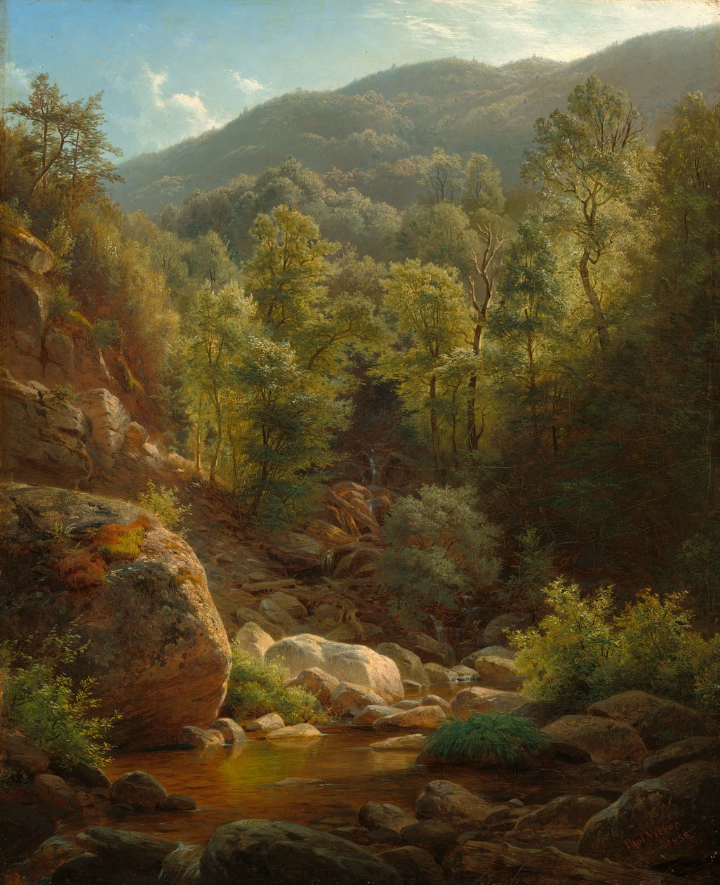 Scena w Catskills, 1858 autorstwa Paul Weber
