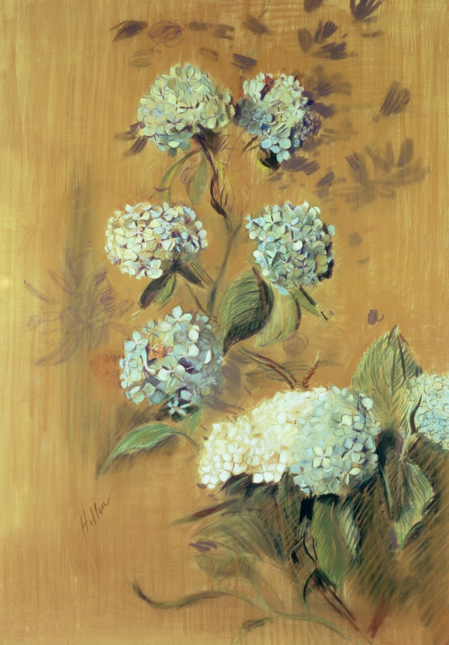 Hortensje (pastel na papierze) autorstwa Paul Cesar Helleu