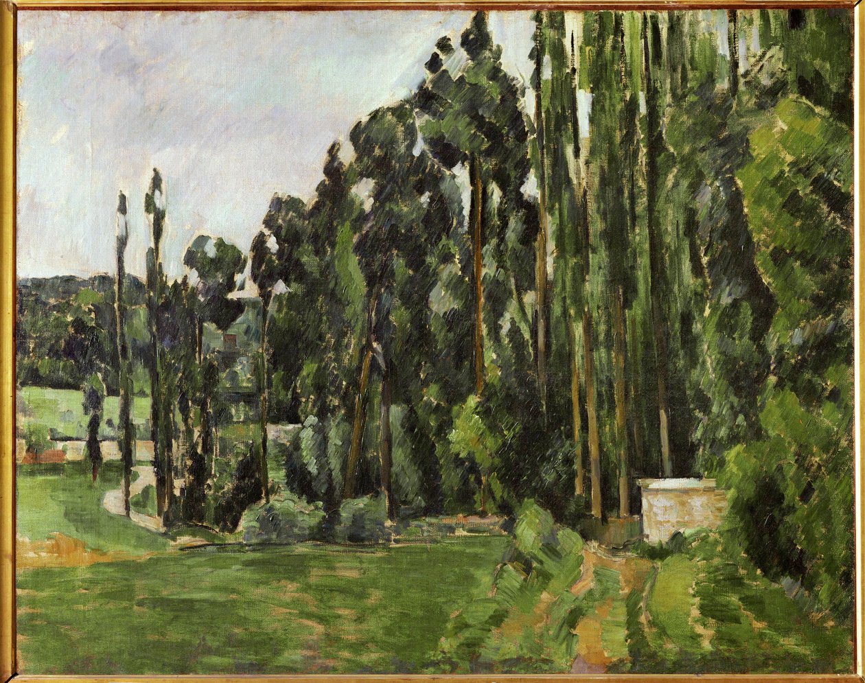 Topole (olej na płótnie) autorstwa Paul Cezanne