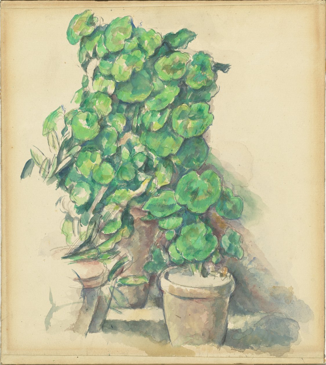 Pelargonie autorstwa Paul Cézanne