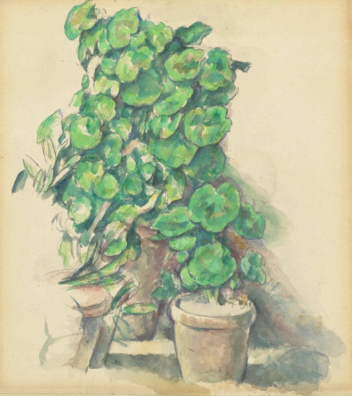 Pelargonie, 18881890. autorstwa Paul Cézanne