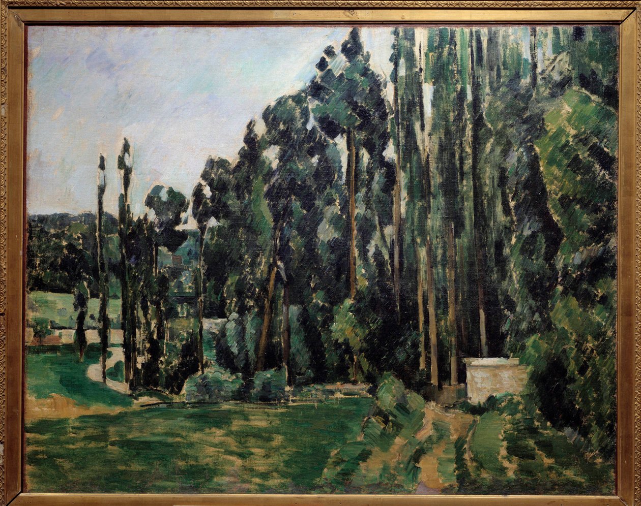 Les topole Obraz Paula Cezanne