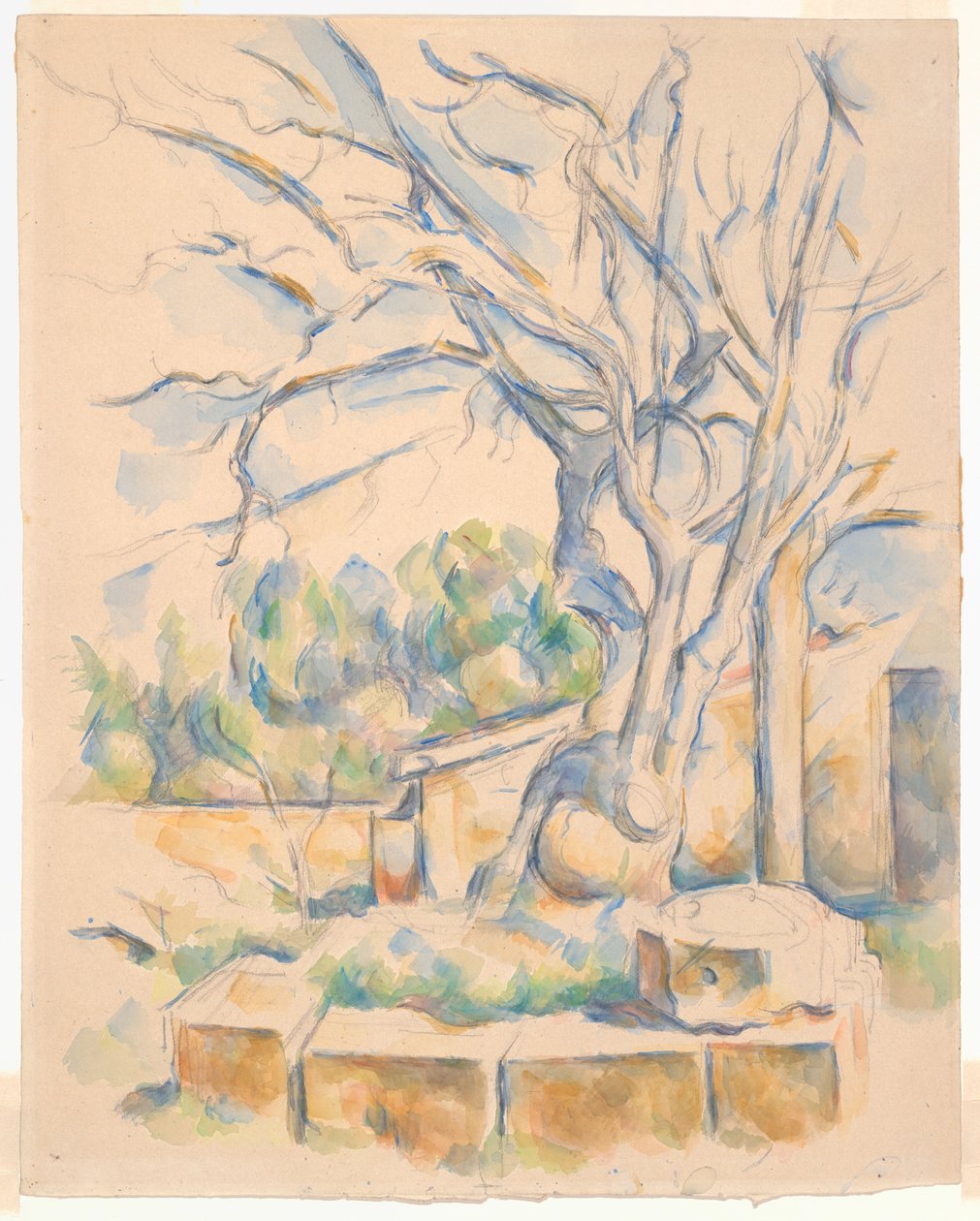 Drzewo pistacjowe w Château Noir autorstwa Paul Cézanne