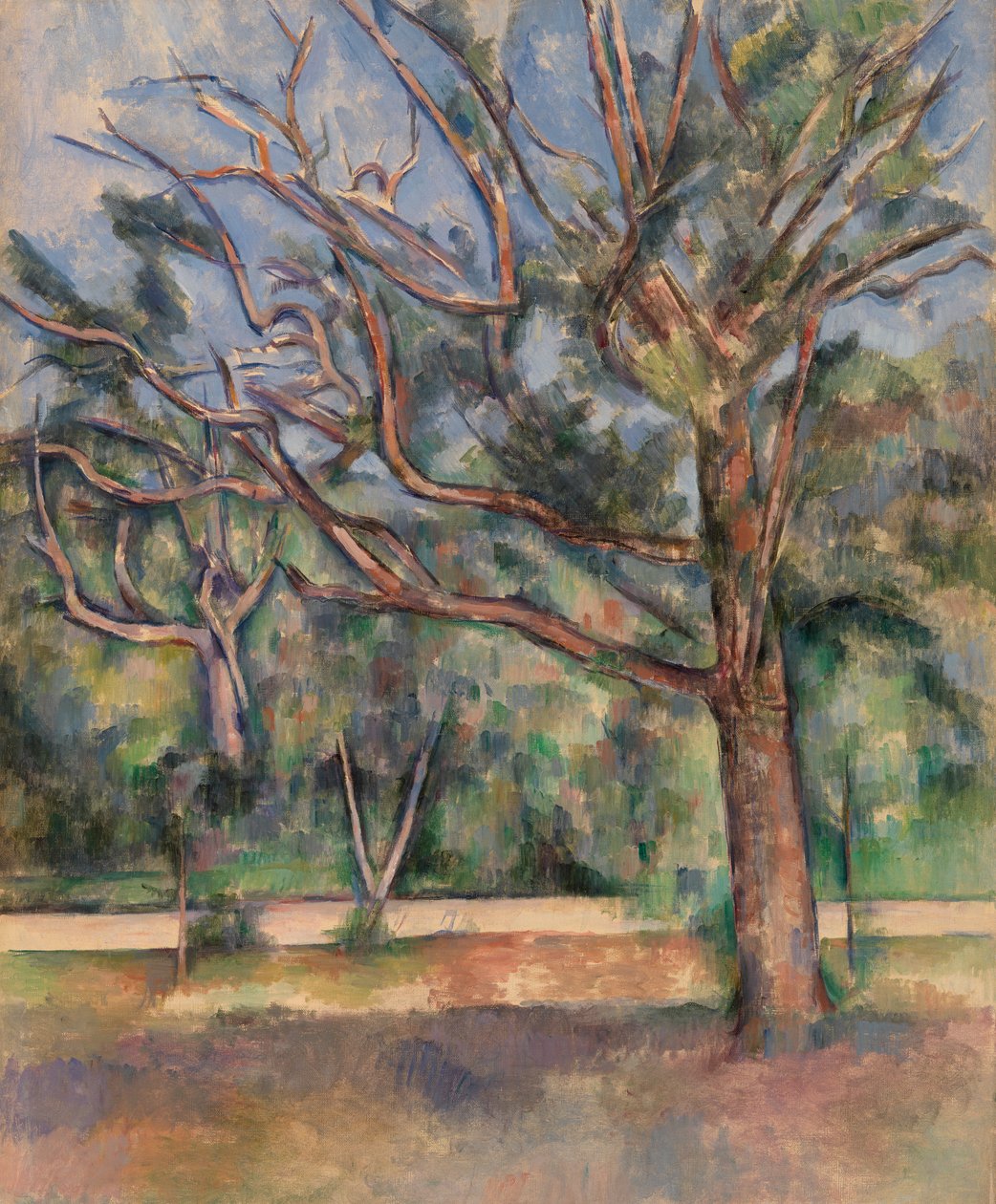 Drzewa i droga (Arbres et route) autorstwa Paul Cézanne