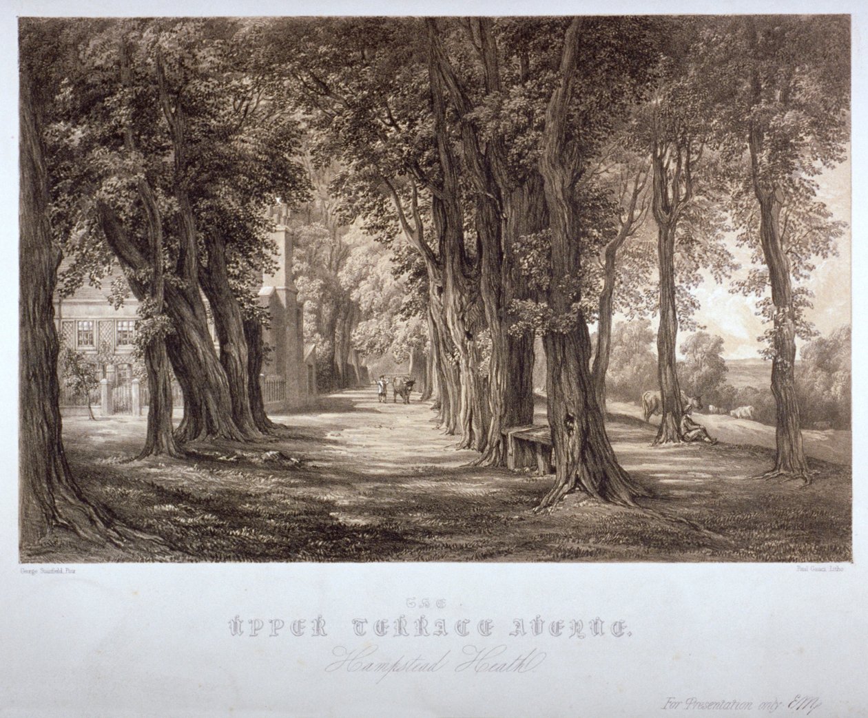 The Upper Terrace Avenue, Hampstead Heath, Londyn, ok. 1840 autorstwa Paul Gauci