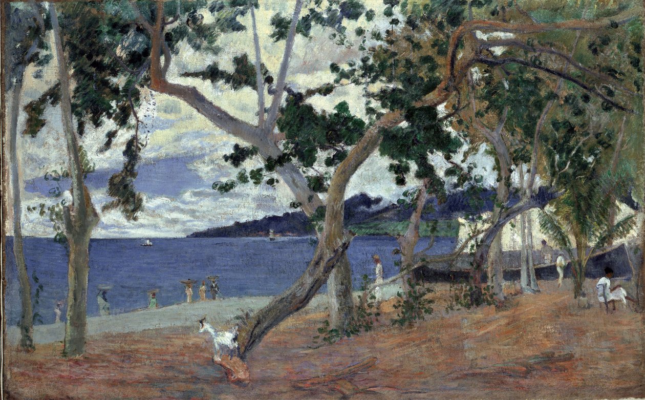 Nad brzegiem morza, Martynika par Gauguin, Paul Eugene Henri (1848-1903). Olej na płótnie, format : 54x90 autorstwa Paul Gauguin