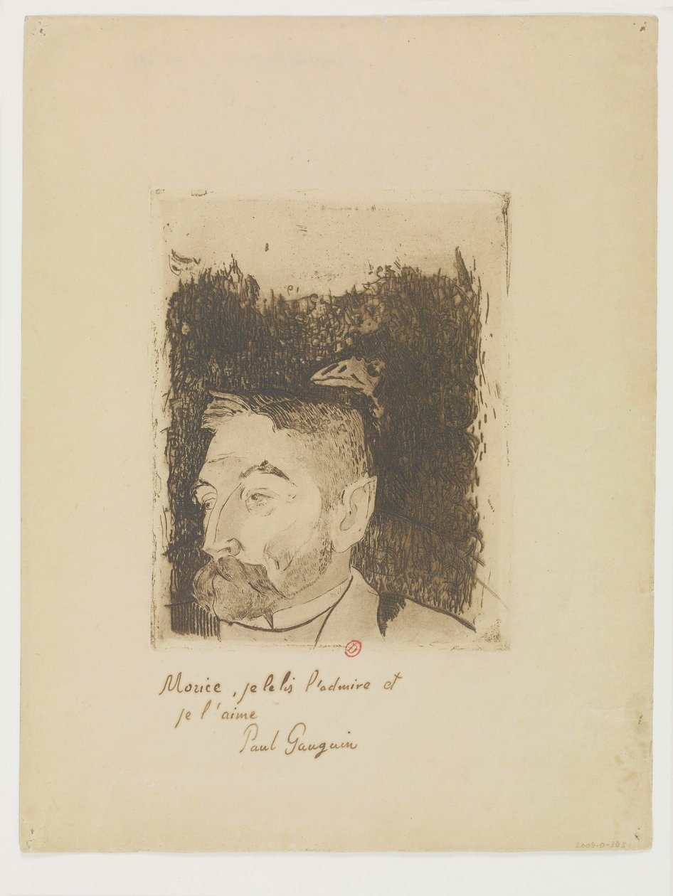 Portret Stéphane