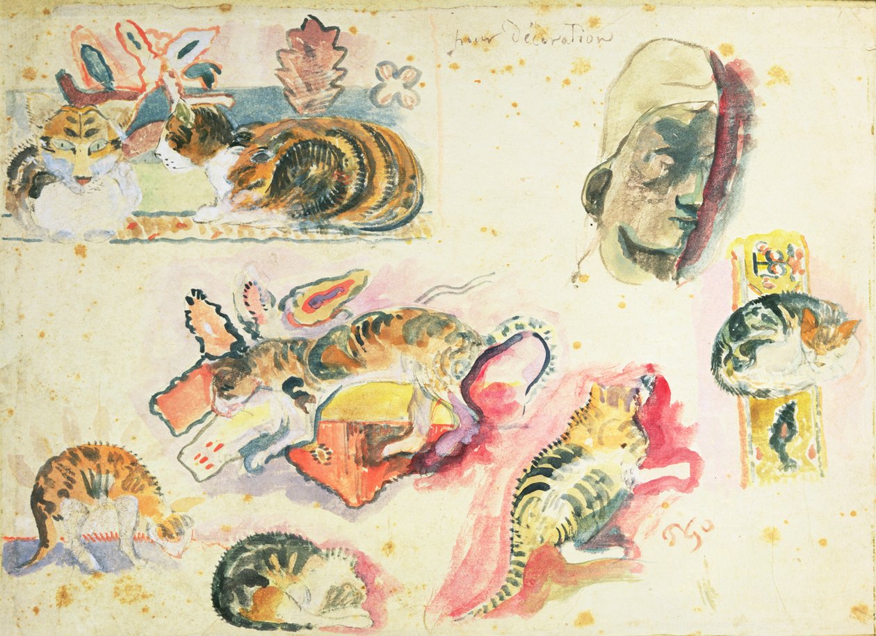Studium kotów i głowy autorstwa Paul Gauguin