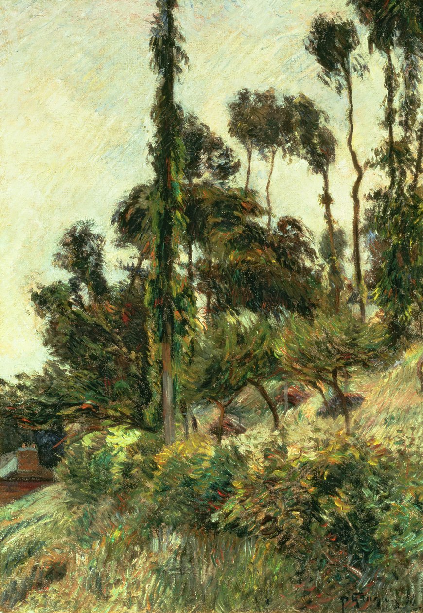 Strona wzgórza, 1884 autorstwa Paul Gauguin