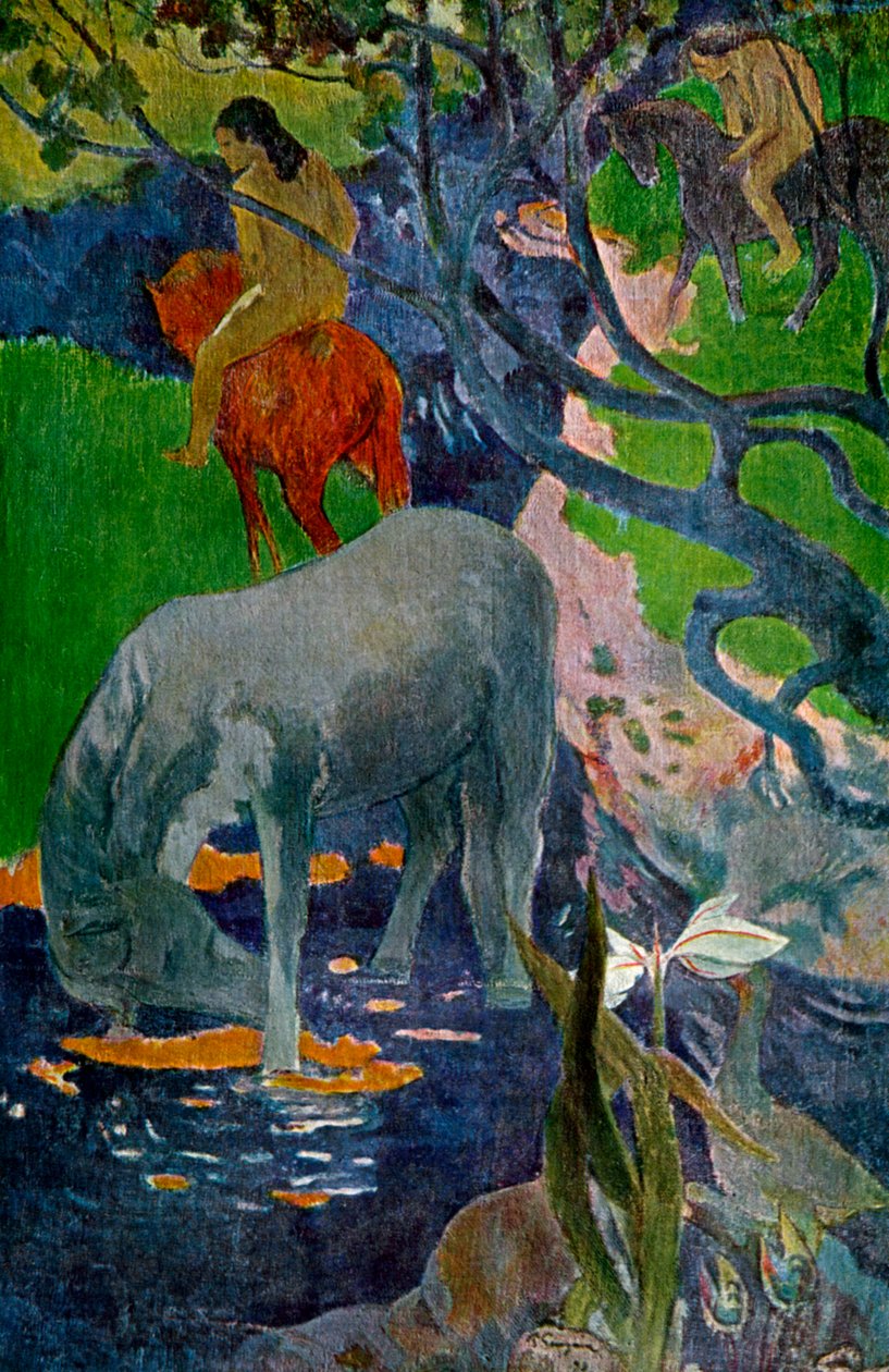 Biały Koń, 1898 1939. autorstwa Paul Gauguin