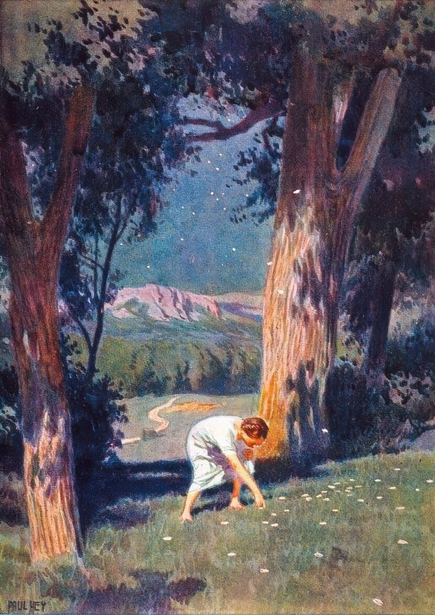 Gwiazda pieniądza autorstwa Paul Hey