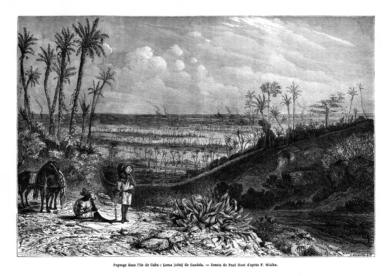 Krajobraz na wyspie Kuba, 1859 autorstwa Paul Huet