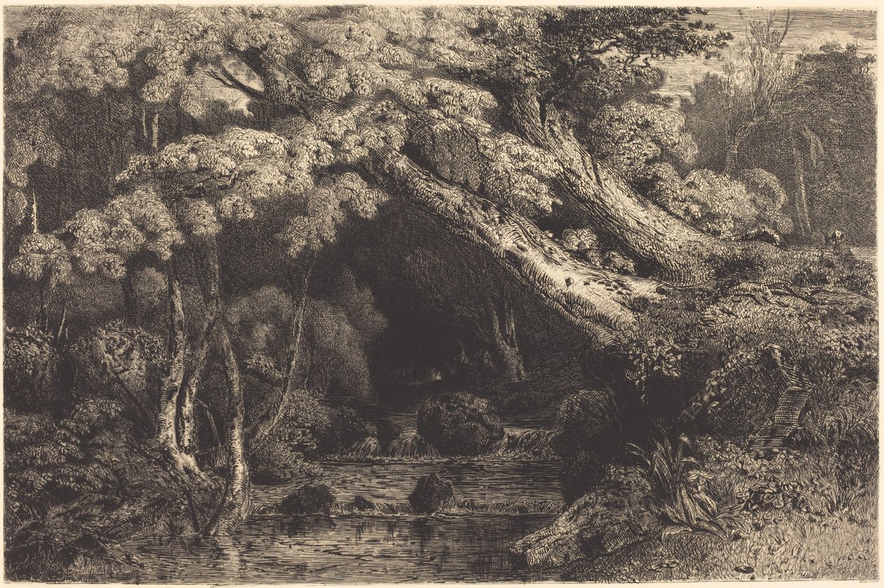 Strumień Saint-Pierre w pobliżu Pierrefonds (Ruisseau de Saint-Pierre, w pobliżu Pierrefonds) autorstwa Paul Huet