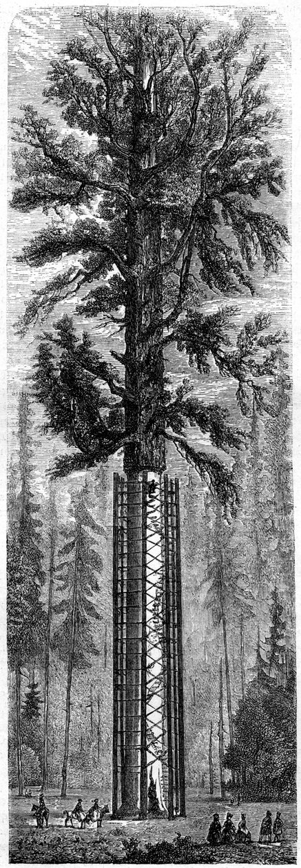 Park Narodowy Yosemite, Kalifornia, XIX wiek. autorstwa Paul Huet