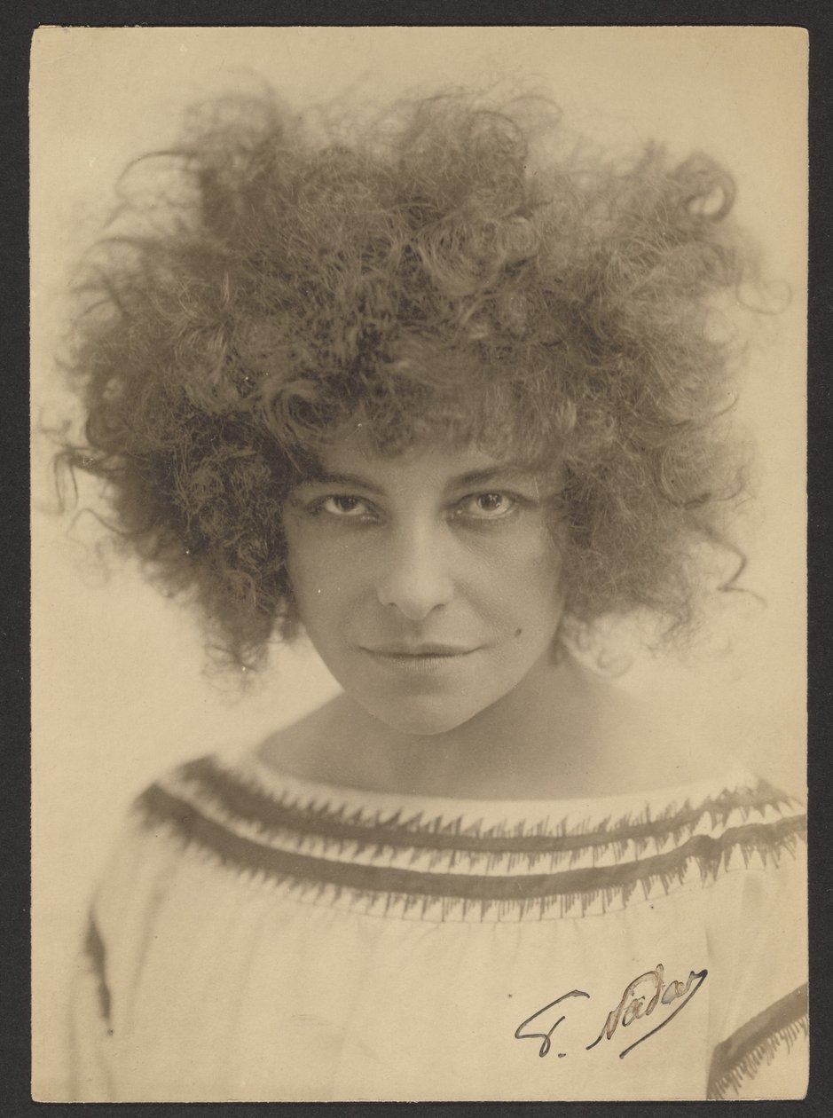 Mlle Polaire autorstwa Paul Nadar