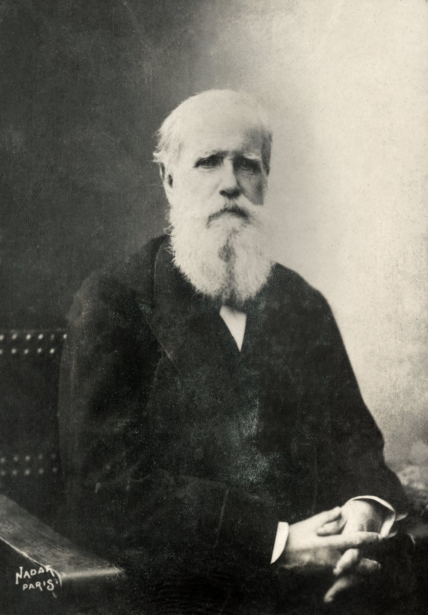  autorstwa Paul Nadar