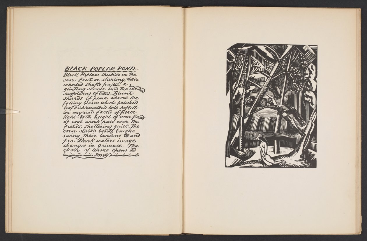 Black Poplar Pond, ilustracja z "Places. 7 grafik reprodukowanych z klocków zaprojektowanych i wygrawerowanych przez Paula Nasha, z ilustracjami prozą". Londyn, William Heinemann autorstwa Paul Nash