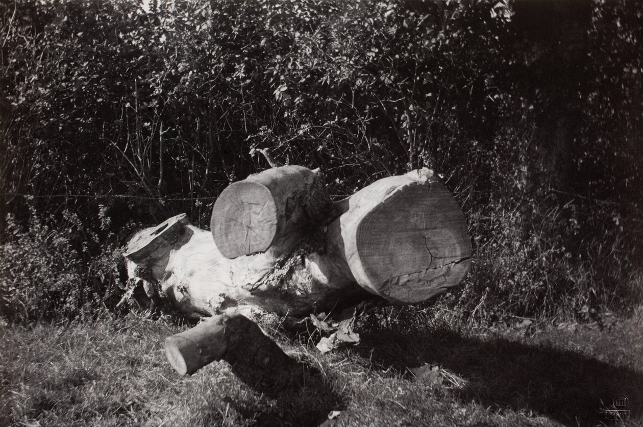 Wyszukiwanie obiektów autorstwa Paul Nash