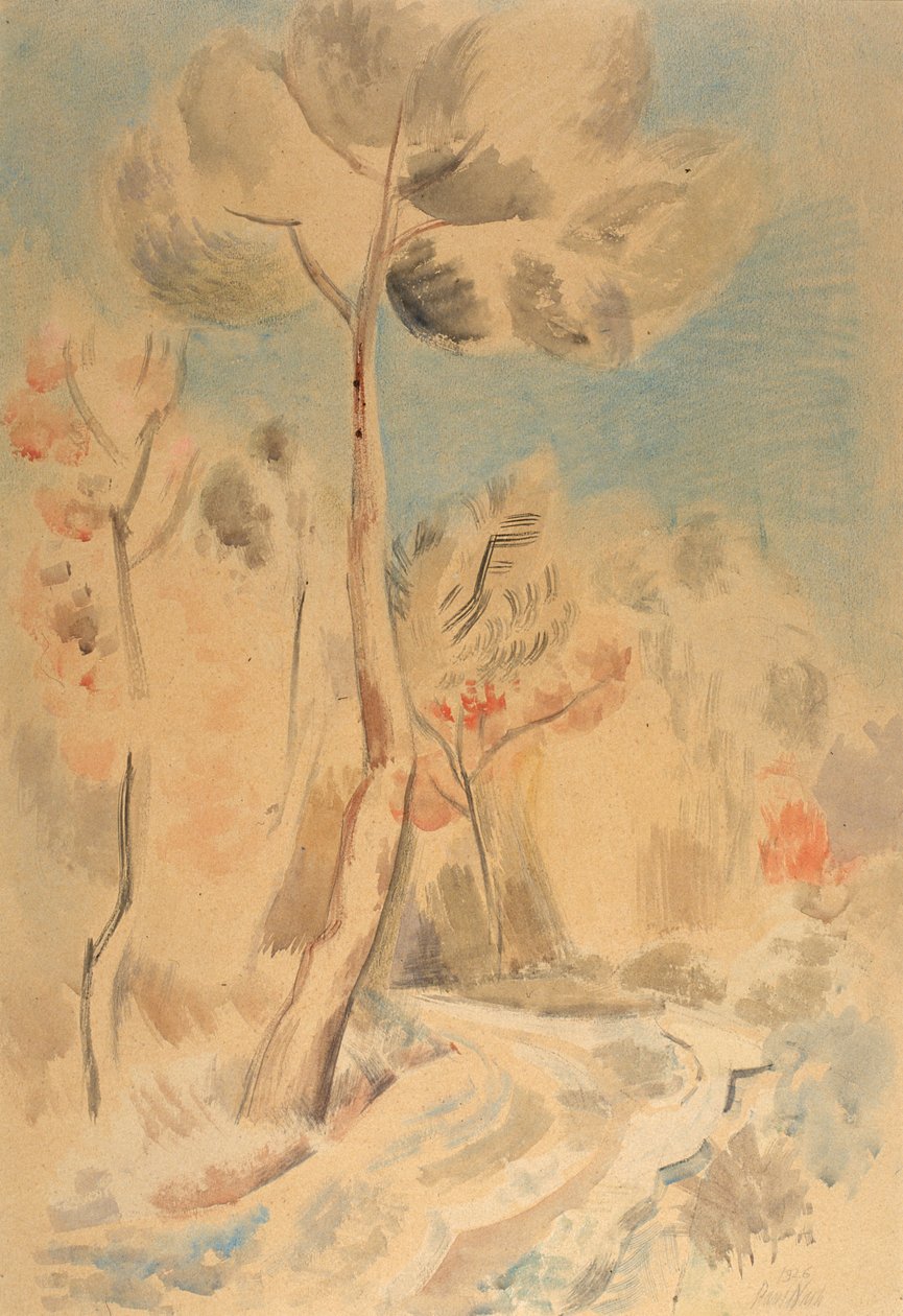Sosna autorstwa Paul Nash