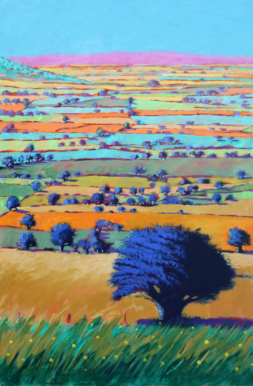 Cotswold Way, 2021 (akryl na płycie) autorstwa Paul Powis
